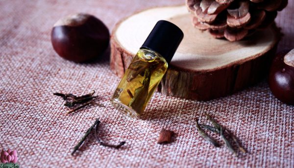 ТОП-12 лучших древесных ароматов духов для женщин